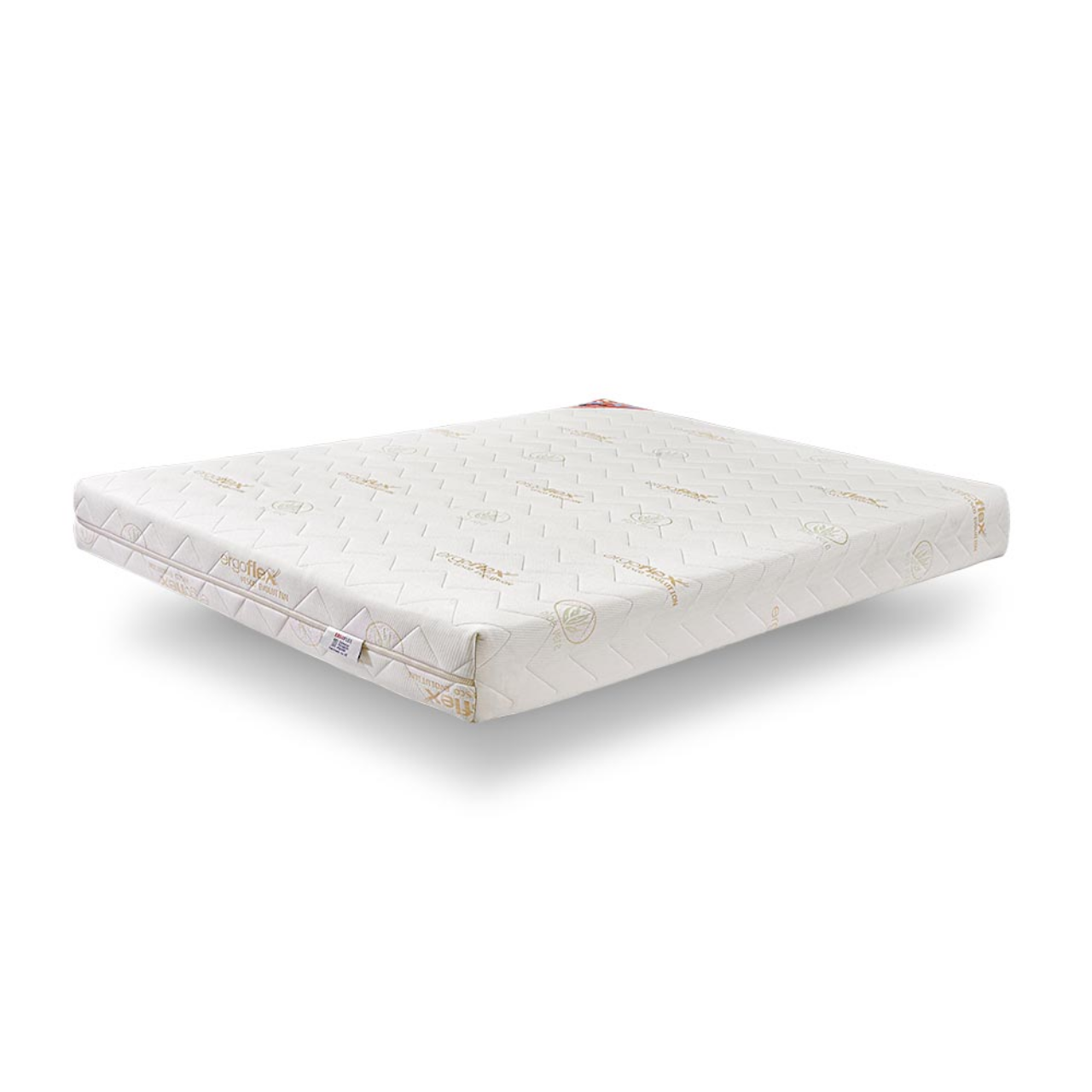 Visco Evolution Mattress
