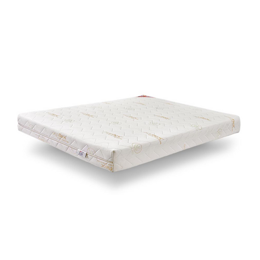 Visco Evolution Mattress